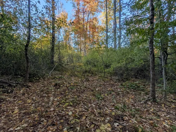 69 Lot 2 New Gloucester Road Lot 2, North Yarmouth, ME 04097