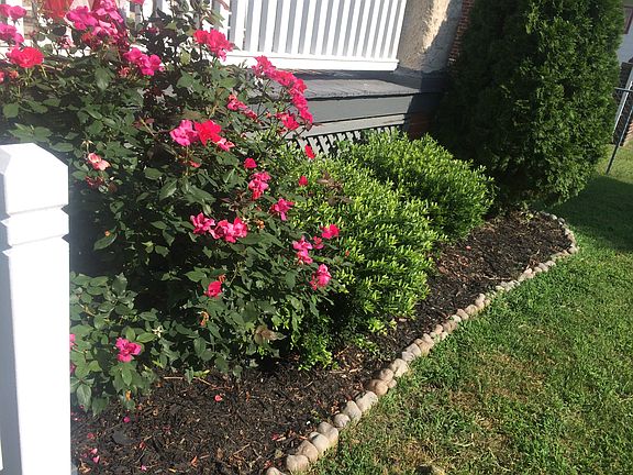 Landscaped yard