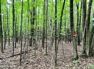 325 Smith Rd, Richmondville, NY 12149