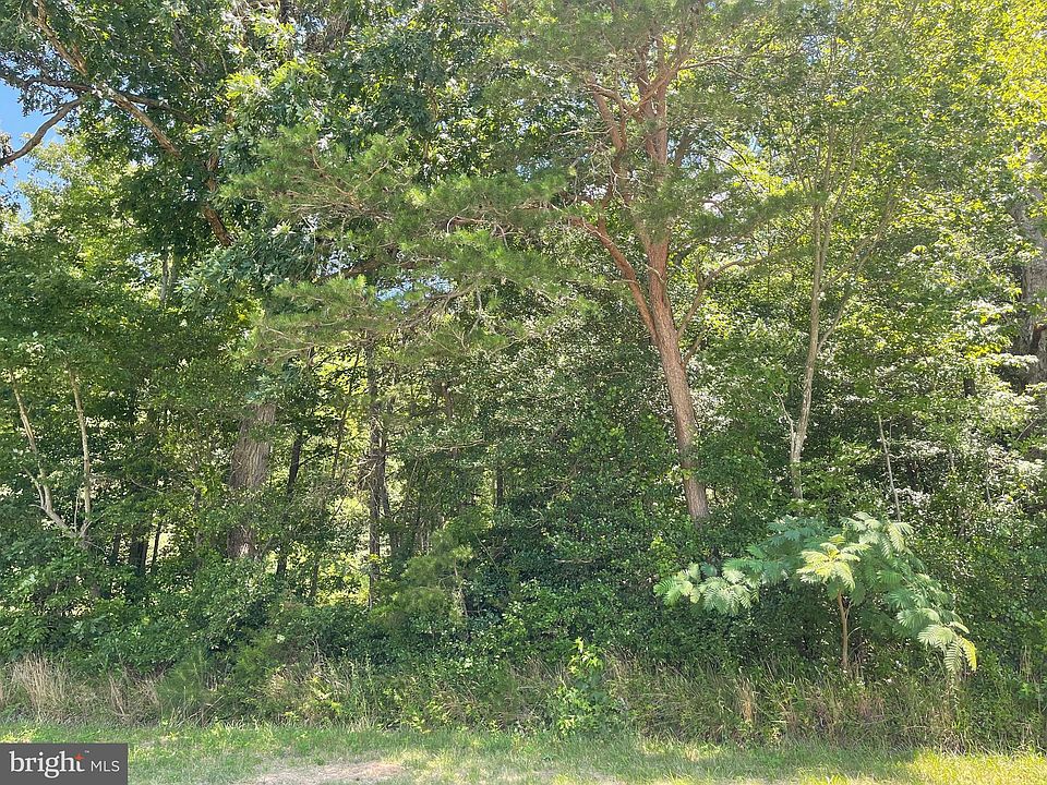 2nd image of 12645 Ponder Rd