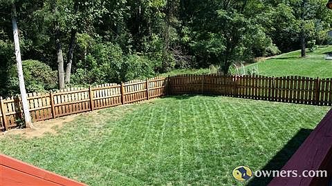 Fenced Backyard