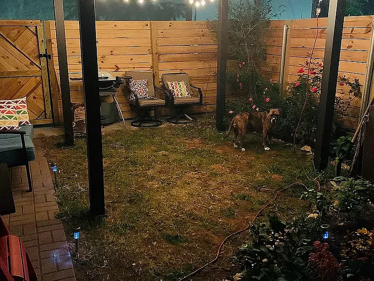 Fenced yard with garden (dog not included)
