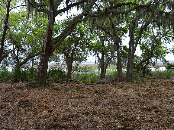 3rd image of 0 Cumberland Harbour Blvd-lot 40