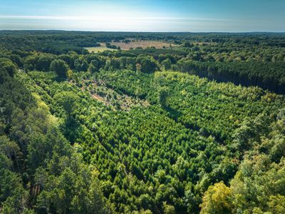 60th Ave, Mecosta, MI, 49332