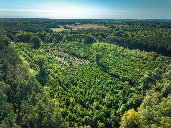 60th Ave, Mecosta, MI 49332