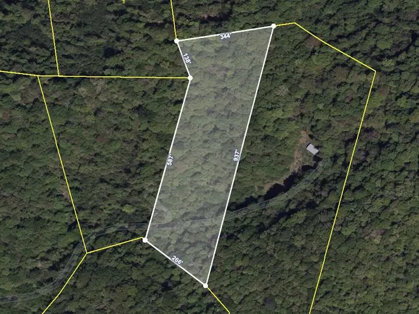 Tiger Creek Rd, Roan Mountain, TN 37687