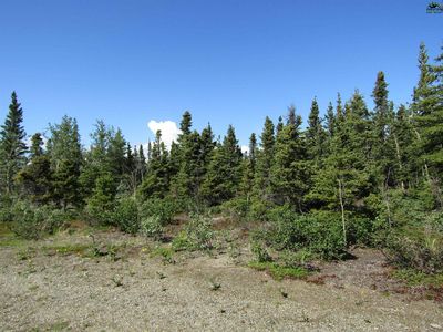 254.5 Mile Richardson Hwy, Delta Junction, AK, 99737