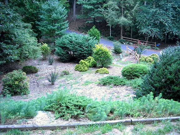 Landscaping