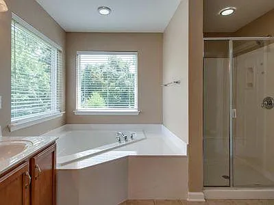 Master bath tub and shower