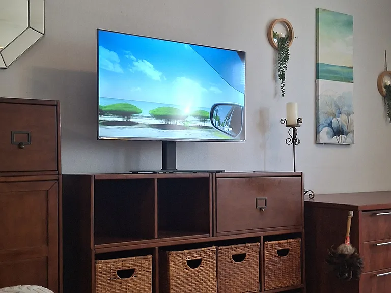 Storage and TV area