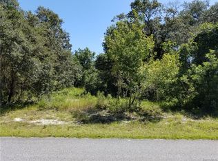 258 S Savary Ave, Inverness, FL 34453