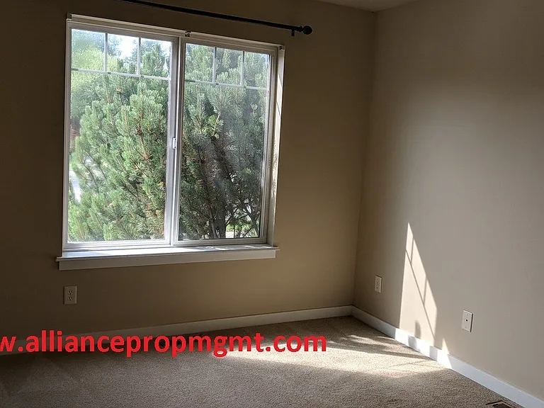 2907 Lily Dr — Photo 6