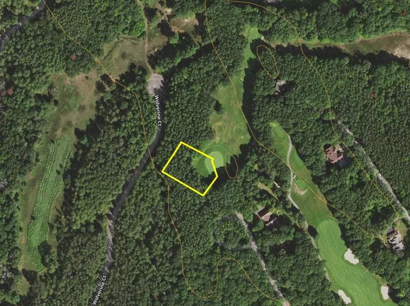 27-114 Wolverine Ct, Lewiston, MI 49756