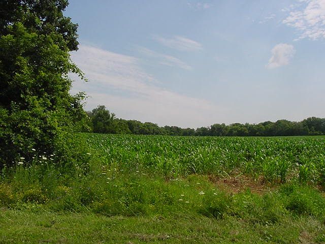 1st image of L3 S Brooklyn Dr