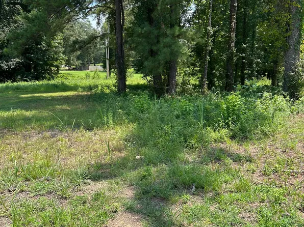 0 W Faulkner Cv Lot 2, Terry, MS 39170