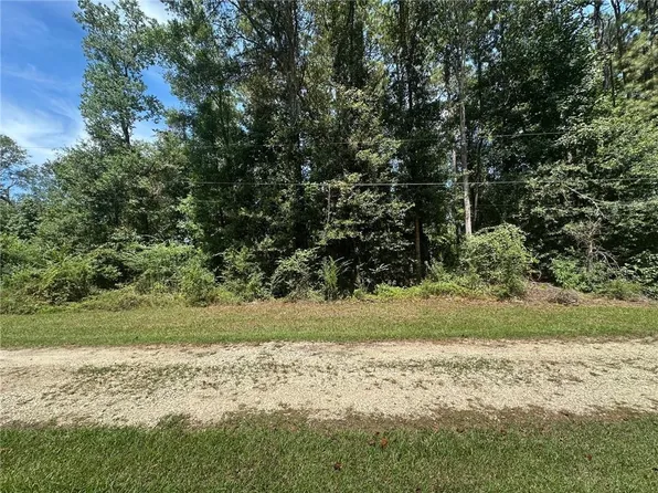 TRACT 4 Ragusa Rd, Independence, LA 70443