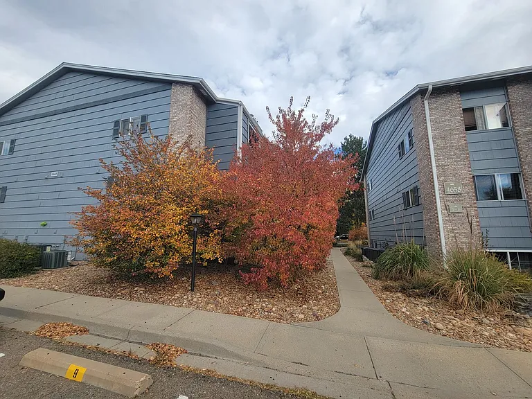 4656 White Rock Cir #5 — Photo 40
