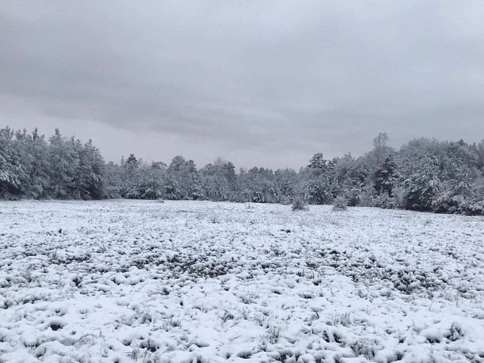 2nd image of 1383 Cooper Rd
