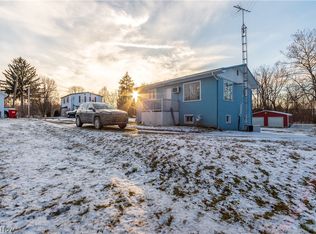 100 1/2 Scranton Ave, Minerva, OH 44657