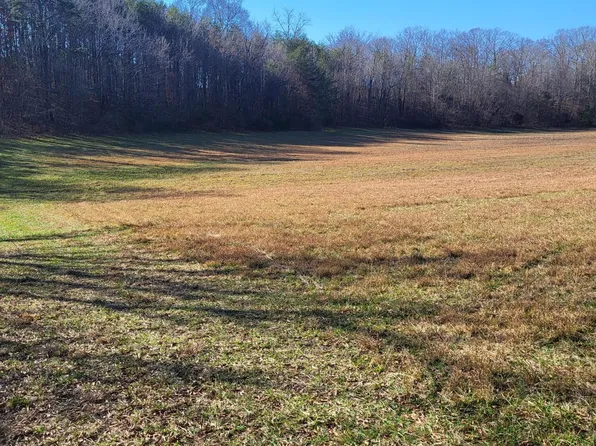 16633 Andy Thomas Rd, Sale Creek, TN 37373