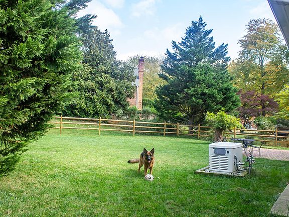 Backyard view