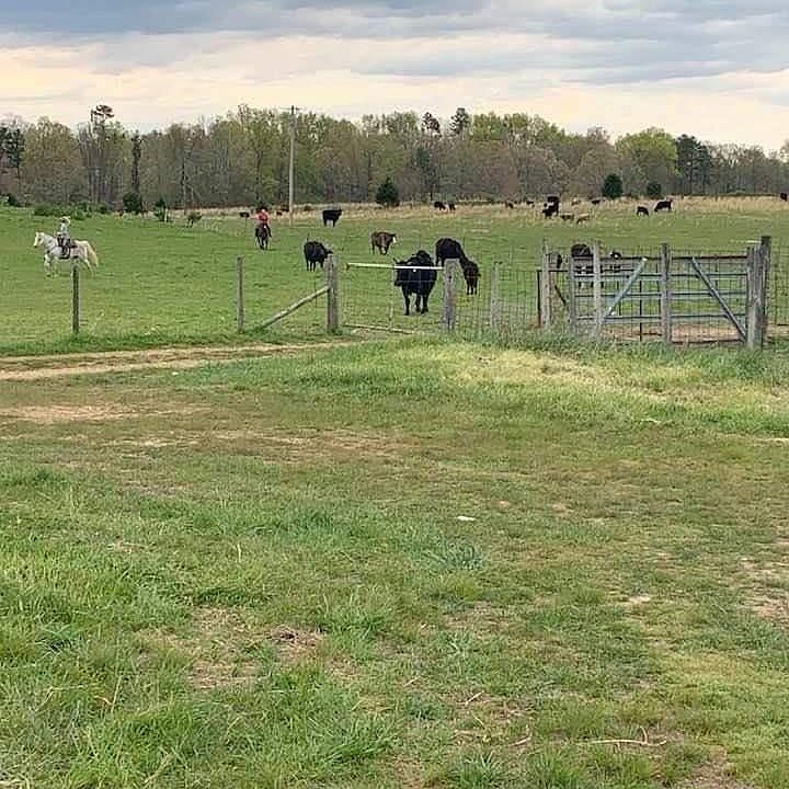 6206 Cr 333a, Summersville, MO 65571 Zillow