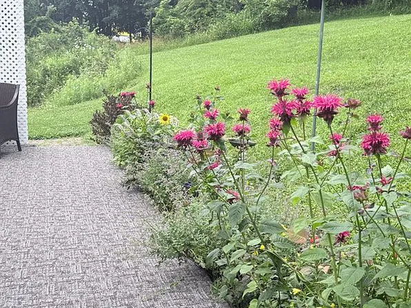 211 E High Ave, Terra Alta, WV 26764