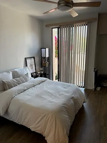 Downstairs master bedroom
