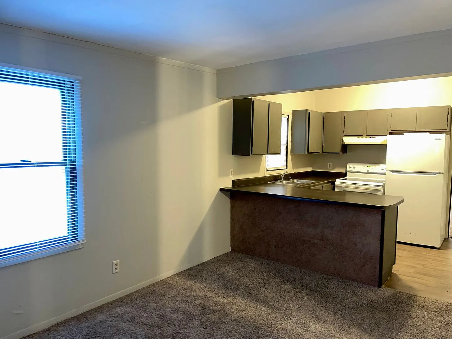 607 W Capitol — Photo 2