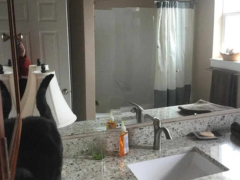 Guest bathroom