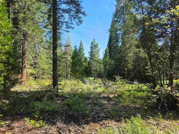 LOT 66 Old Mill Rd, McCloud, CA 96057