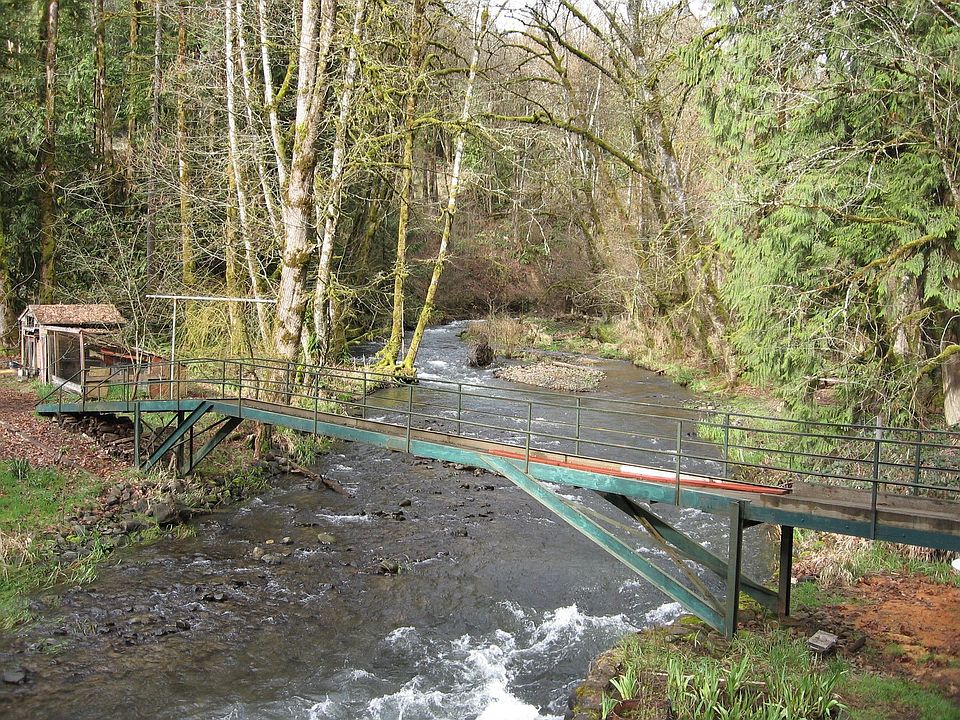 The view down river