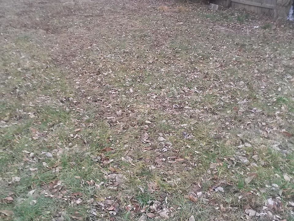 2nd image of 2533 E 18th St