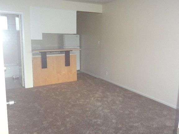 New Carpet