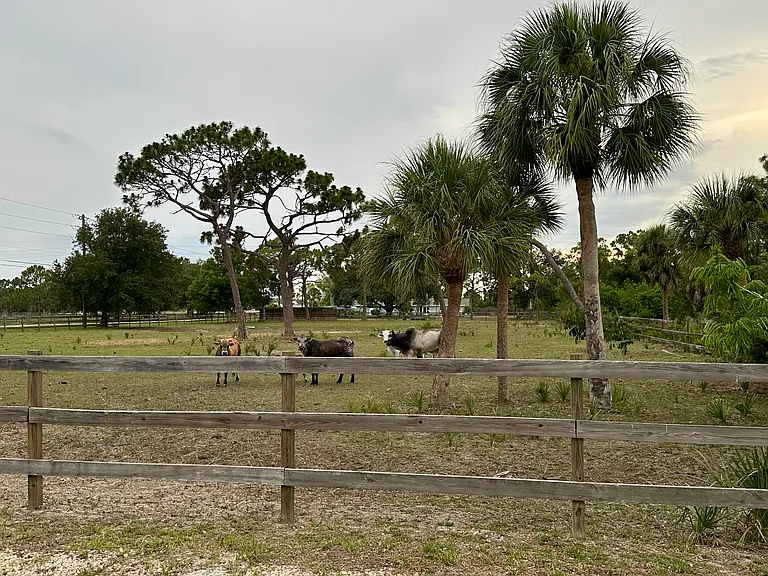 710 Morningside Dr — Photo 17