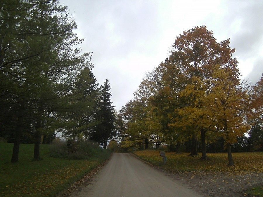 2nd image of 4883 E Allen Rd