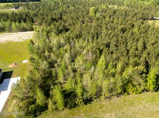 Stout Rd LOT 46, Canton, MS 39046