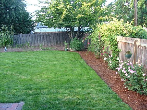 The flower bed and the cherry tree