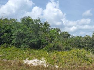 451 Hayride Ave, Lake Placid, FL 33852