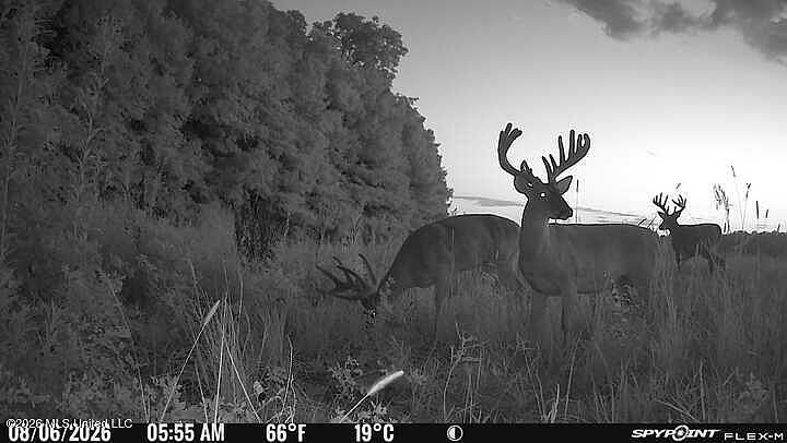 1st image of W Sturdivant White Rock Rd