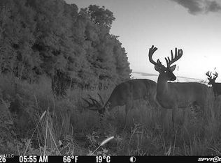 W Sturdivant White Rock Rd, Charleston, MS 38921