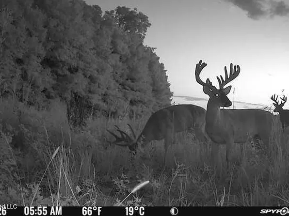 W Sturdivant White Rock Rd, Charleston, MS 38921