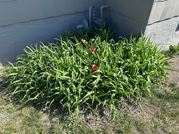 5th image of 678 Illinois Ave SW