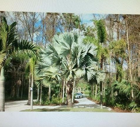 2nd image of 5240 Cherry Wood Dr