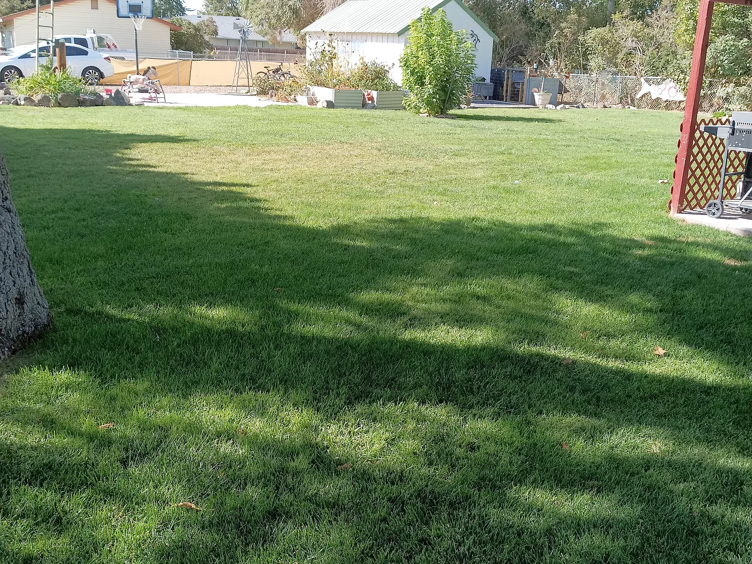 4 bed, 1700 sqft, $2,500 — Photo 2