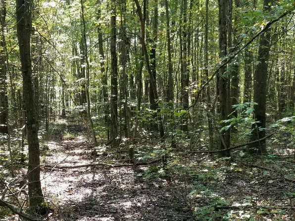 3475 Patterson Rd, Bethel, OH 45106