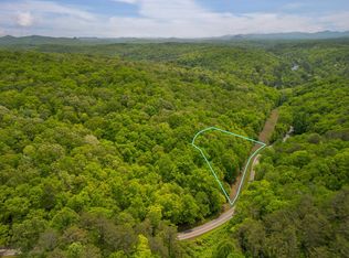 290ACR E Galloway Rd, Blue Ridge, GA 30513