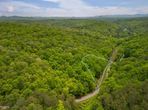 290ACR E Galloway Rd, Blue Ridge, GA 30513