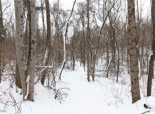 14252 State Route 83, Coshocton, OH 43812