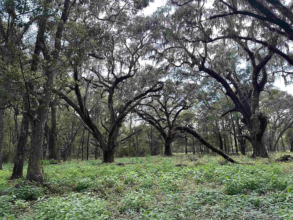 1st image of 2930 Coastal Hwy Lot 1